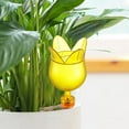 thumbnail image 6 of Vacemry Under $5 Automatic Plant Waterer, Bird Shape Self Watering Spikes for Potted Plants, No Electricity Dripper for Indoor Outdoor Garden, Vacation Plant Care Tool, 6 of 6