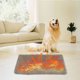 thumbnail image 5 of ¡Compra Inteligente!, Cómoda colchoneta para perros, colchoneta para mascotas, cama para dormir Akmoler, 5 of 9
