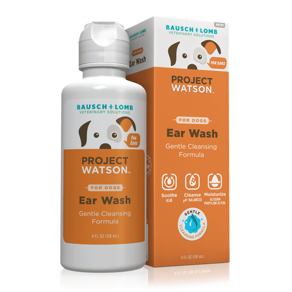 Dogs Ear Infection Treatments