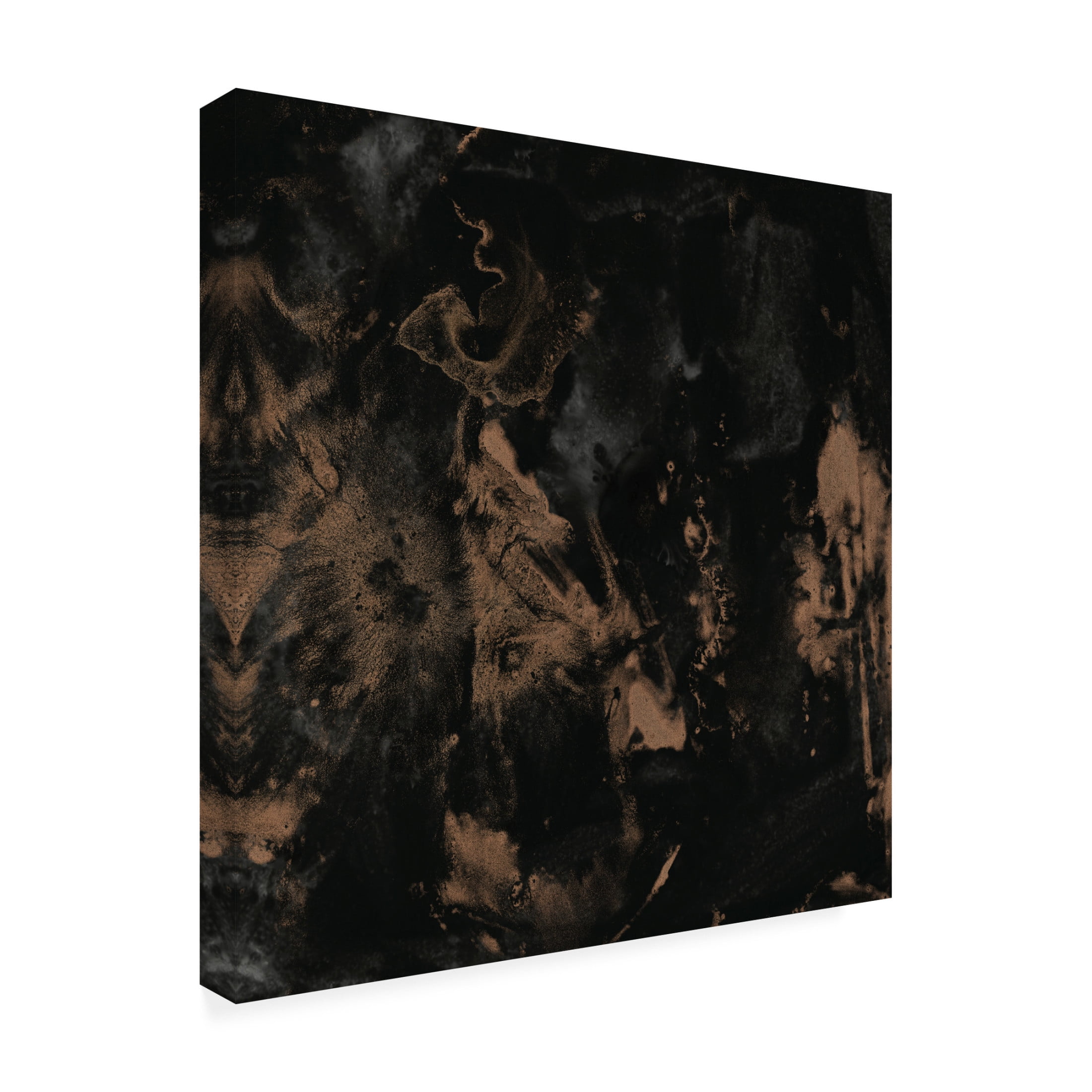 Trademark Fine Art June Erica Vess  Onyx Nebula II Canvas Wall Art