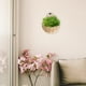 thumbnail image 4 of COSMOBETTY 2Ud Cesta Colgante De Pared Beige Para Con Falsas Y Organización, 4 of 6