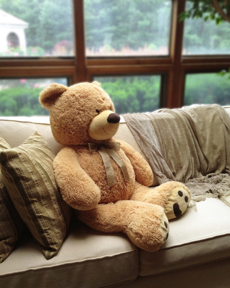 joon big teddy bear