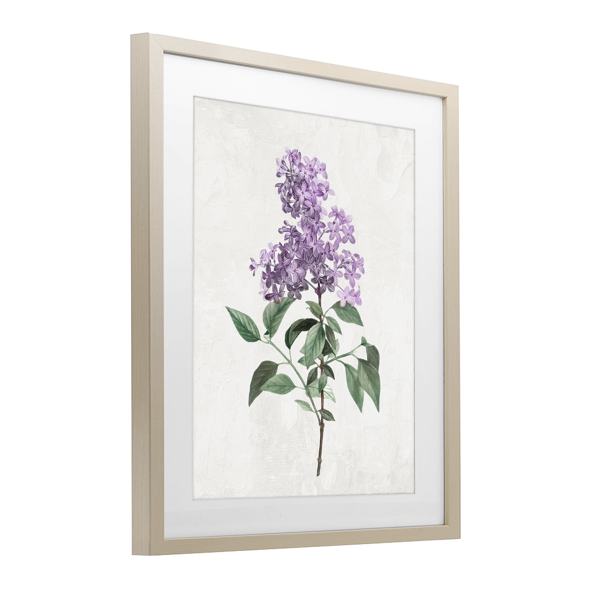 Stupell Industries Lilac Herb Blossoms Birch Framed Print Under Glass, design by Kim Allen