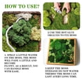 thumbnail image 3 of Artificial Green Plants Eternal Life Moss DIY Grass Garden Crafts Home Room Decor Mini Landscape Fake Grass 20/1000g, 3 of 9