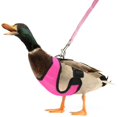 thumbnail image 1 of Lishi Comfortable Adjustable Chicken Harness and Leash Set, 1 of 3