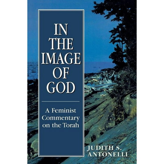 In the Image of God: A Feminist Commentary on the Torah, (Paperback)