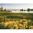 thumbnail image 2 of Flaherty, Dennis 24x20 White Modern Wood Framed Museum Art Print Titled - CA, Eastern Sierras, Mono Lake landscape, 2 of 4