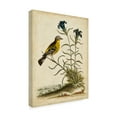 thumbnail image 2 of Trademark Fine Art 'Natural Habitat III' Canvas Art by George Edwards, 2 of 4
