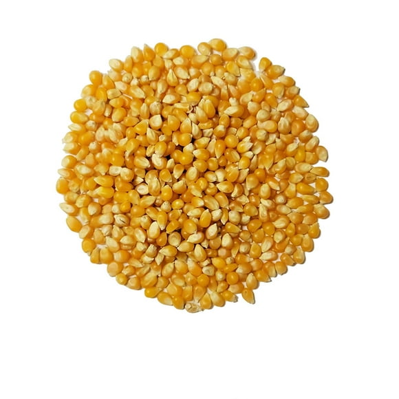 Popcorn Kernels 50 Lbs