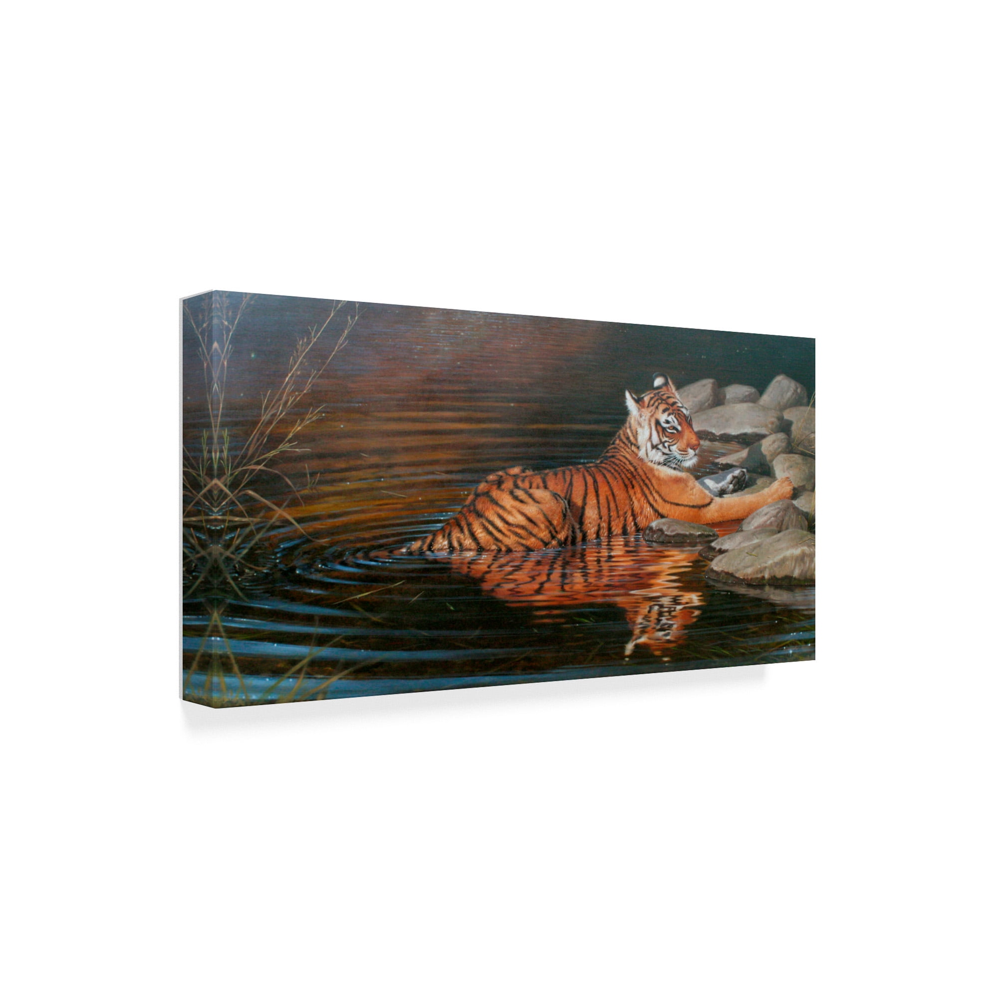Trademark Fine Art 'Indian Summer Tiger' Canvas Art by Michael Jackson