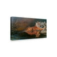 thumbnail image 2 of Trademark Fine Art 'Indian Summer Tiger' Canvas Art by Michael Jackson, 2 of 3