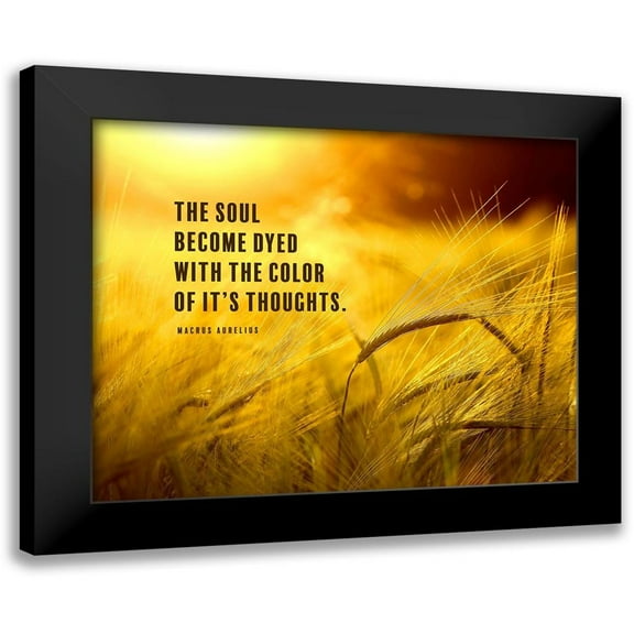 ArtsyQuotes 14x12 Black Modern Framed Museum Art Print Titled - Macrus Aurelius Quote: The Soul