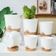 thumbnail image 4 of Macetas para plantas de interior y exterior Toystoory 6 piezas marrón olla blanca, 4 of 6