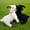 White-11.8inch, variant on Standing Goat Plush Toy-White Goat Stuffed Animal Doll Pillow-Home Decor Creative Gift Birthday Gift-11.8 Inch