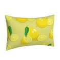 thumbnail image 2 of Balery Bright Lemons Pillow Covers,Bed Pilowcases,Reversible Plush Throw Pillow Covers End Pillow Encasement,Pillow Case - 20"X30", 2 of 9