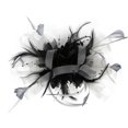 thumbnail image 4 of Baberdicy Women's Small Fascinator - Feather Netting Pillbox - Tea Party Formal Hat - Elegant Hair Accessory - Summer Wedding Black 1,One Size, 4 of 8
