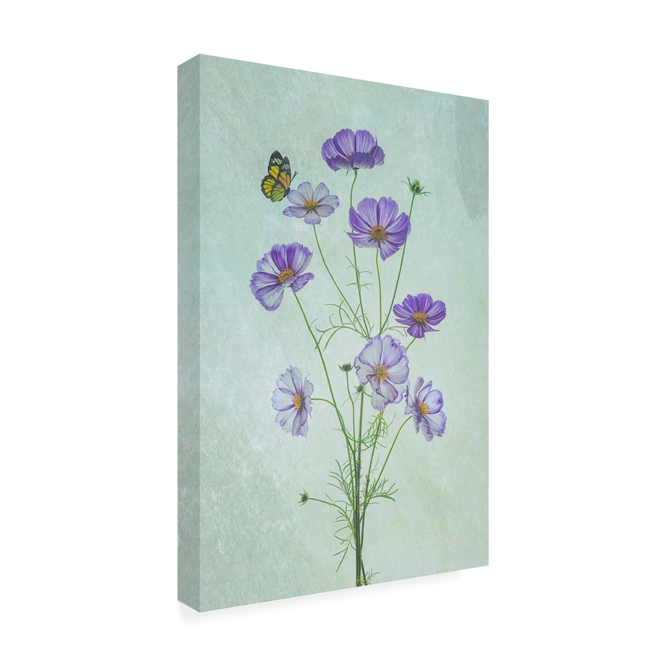 Canvas Wall Art - Lydia Jacobs 'Elegant Cosmos Flowers' Wall Art for Living Room, Bedroom, or Office Décor by Trademark Fine Art - 16 x 24 Inches