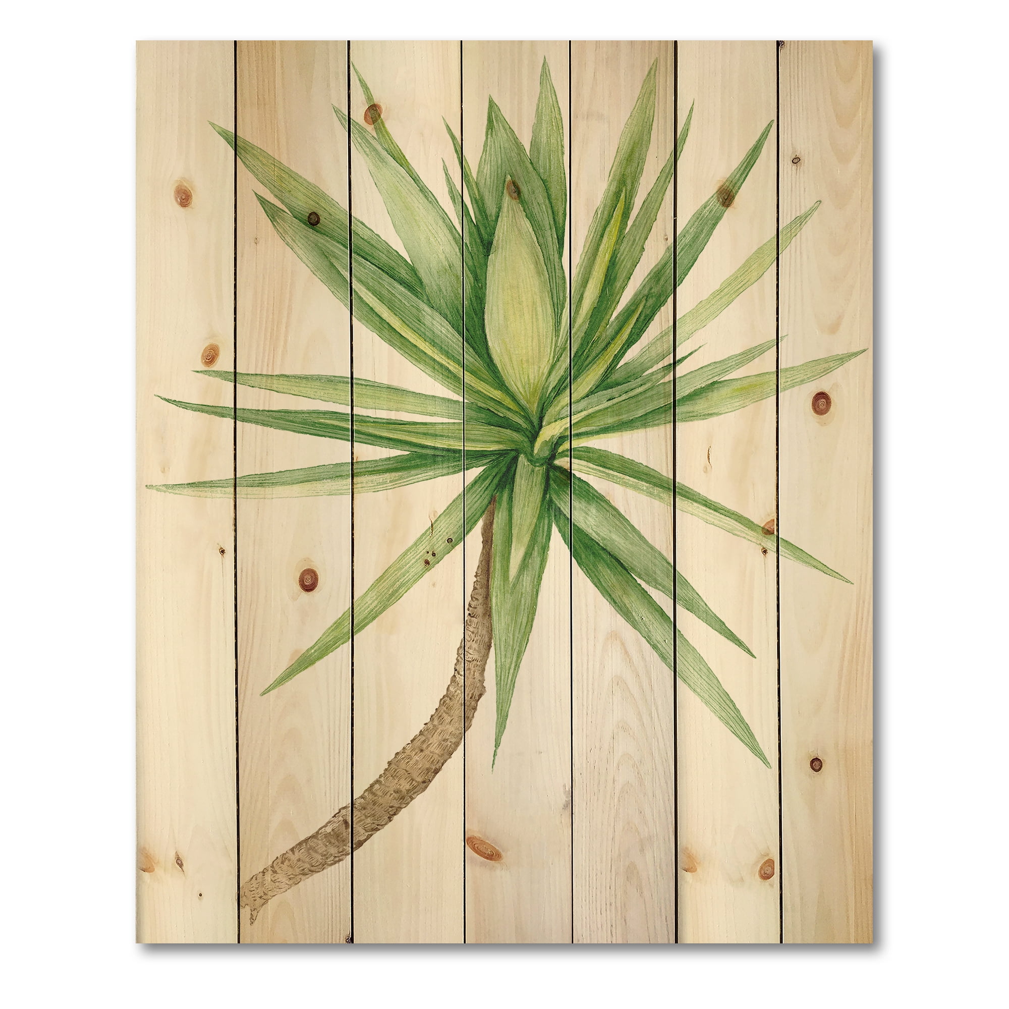Designart 'Close Up Of Yucca Tree' Traditional Print on Natural Pine Wood
