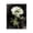 Vintage Anemone on Black, variant on Stupell Industries Peony on Black Plants & Flowers Painting Black Framed Art Print Wall Art, 11 x 14