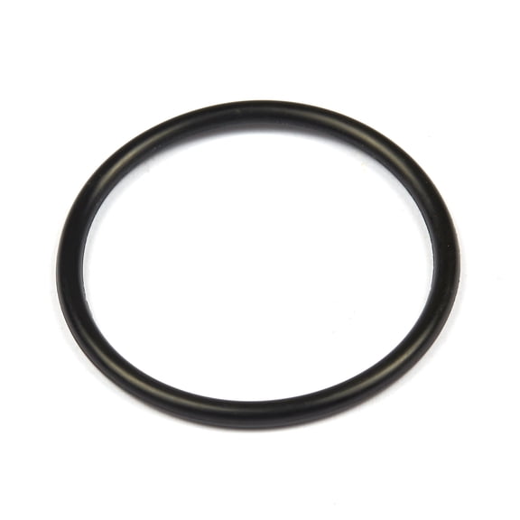 Briggs & Stratton O-Ring Seal | 690589