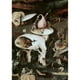 Posterazzi SAL3810412610 Jardin de Délices Terrestres - Détail N ° 8 C1505 Hieronymus Bosch Ca1450-1516 Museo Del Prado Madrid - 18 x 24 Po. – image 1 sur 1