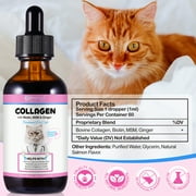 Oimmal Collagen Drops for Cats - 2 fl oz | Salmon Flavor - Support for Cats Joints, Skin, Digestive & Immune System, Liquid Collagen Supplement for Cat