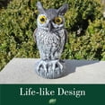 thumbnail image 3 of Dalen Natural Enemy Great Horned Owl Scarecrow Decoy, Realistic Hand-Painted Design, 3 of 5