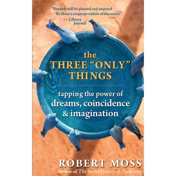 The Three Only Things: Tapping the Power of Dreams, Coincidence, and Imagination, (Paperback)