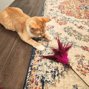 Go Cat Kitty Duster 18 Cat Toy