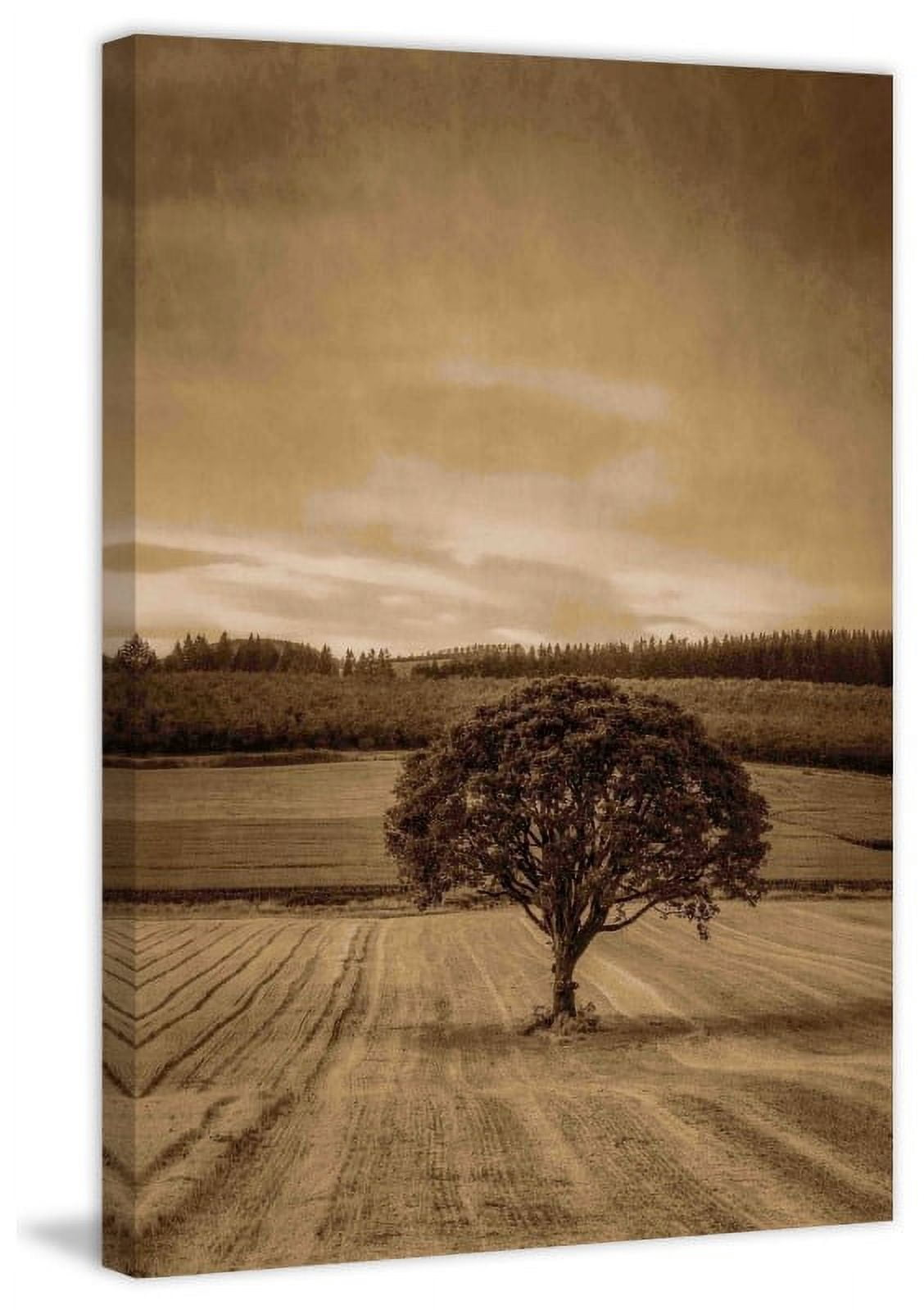 Marmont Hill "Lone Tree at Sunset" Painting Print on Canvas