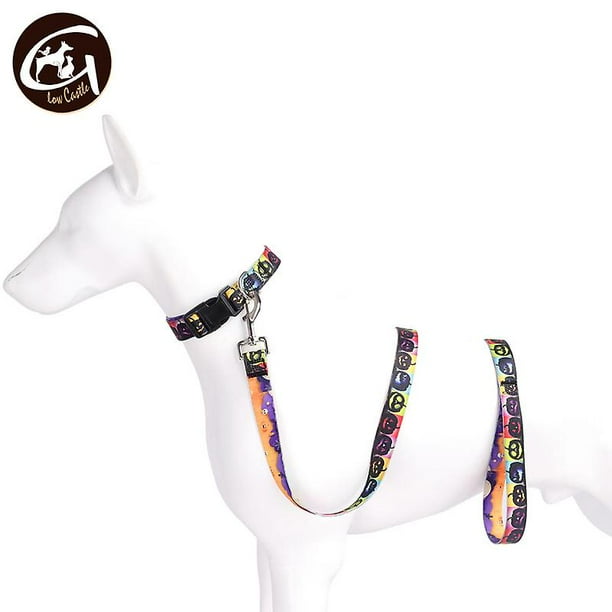 Breakaway top dog collar