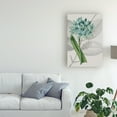 thumbnail image 3 of Trademark Fine Art 'Botanical Arrangement II' Canvas Art by Vision Studio, 3 of 3