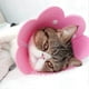 thumbnail image 4 of Collar For Cat Dog Cone Collar Anti-bite Protection Cone Collars Dog Cat Puppy Collar Injury Adjustable Neck Cone Protector, 4 of 5