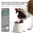 thumbnail image 2 of Canesú Elevated Dog Bowls para perros pequeños y medianos, 2 of 6