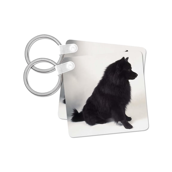 3dRose, German Spitz, set of 2 Key Chains