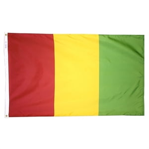 2x3' DURAWAVEZ GUINEA NYLON FLAG CH&G