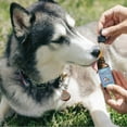 thumbnail image 5 of WONDER PAWS Melatonin for Dogs – Pet Melatonin with L-Theanine (Suntheanine®), 5 of 7