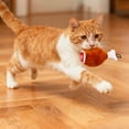 thumbnail image 4 of Interactive Squeaky Chicken Thigh Toy for Dogs with Noise Maker Pet Entertainment, 4 of 5