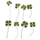 thumbnail image 5 of Paquete de 4-20 Adornos de Hojas Prensadas Reales Sunnimix para Hacer Tarjetas y Álbumes de Recortes 150x100mm, 5 of 8