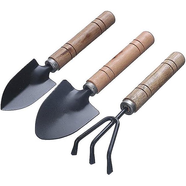 Juego de herramientas de jardinería funcionales de 3 piezas, juego de palas con mango de madera para personas trabajadoras que plantan flores (pequeño)