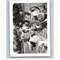 thumbnail image 1 of 1985 The Three Stooges #38 Why did Curly shave..  V78327, 1 of 1