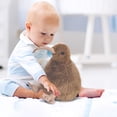 thumbnail image 7 of Sruoe Stuffed Animals, Easter Gifts for Kids, Bird Stuffed Animal Plush Toys, Brown Stuffed Animal & Plush Toy Soft Plush Bird, Easter Gifts Toys Gifts Cute Stuffed Animals, Plush Dolls Girls Boys, 7 of 7