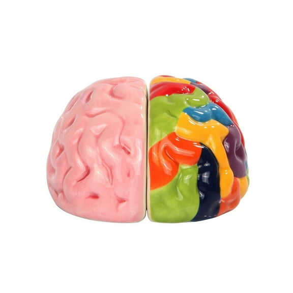 Attractives Magnetic Ceramic Salt Pepper Shakers Left and Right Brain