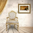 thumbnail image 3 of Hausenflock, Alan 18x13 Gold Ornate Wood Framed with Double Matting Museum Art Print Titled - Peaceful Patio II, 3 of 4