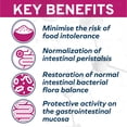 thumbnail image 4 of Forza10 Active Intestinal Dry Cat Food- 3.3 lb bag, 4 of 14