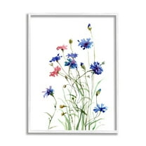 Stupell Industries Wild Cornflowers Spring Bloom Watercolor Blue Pink Botanical & Floral Painting White Framed Art Print Wall Art, 24 x 30