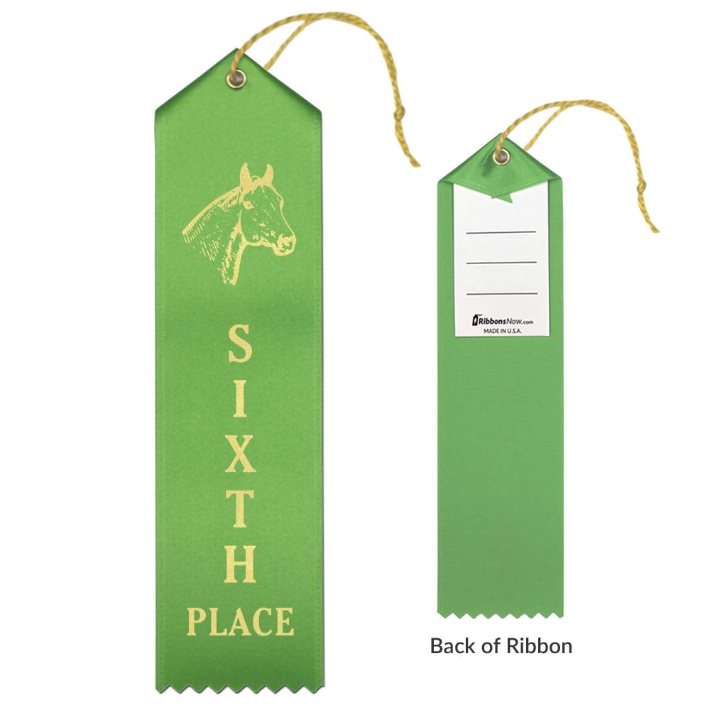 RibbonsNow Horse Show Ribbons 1st - 6th Place - 300 Total Ribbons - 50 Each Place with Card & String