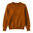 thumbnail image 5 of GILIGEGE Women’s Long Sleeve Crew Neck Cropped Sweaters,Lightweight Pullover Tops,Work Business Casual Outfits,Soft Knit Fall Sweater,Winter Clothing,Classic Basic Everyday Layer Brown 2XL, 5 of 9