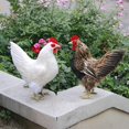 thumbnail image 2 of Dalazy Modèle Réaliste de Poule Sculpture Réaliste de Poulet Figurine Animale Brun L 1Set, 2 of 6