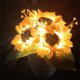thumbnail image 5 of LED Girasol Maceta Luz de noche Bonsai Mesa Luz Flor Lámpara de escritorio (A), 5 of 8